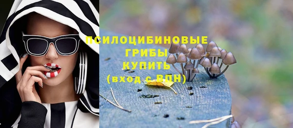прущие грибы Алексин