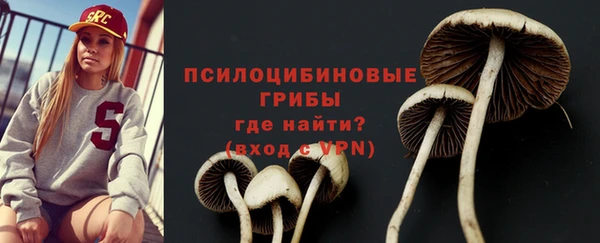 прущие грибы Алексин