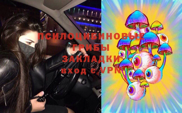 спиды Арсеньев