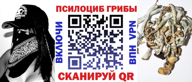 Купить закладки  Белая Калитва  Галлюциногенные грибы Psilocybine cubensis 